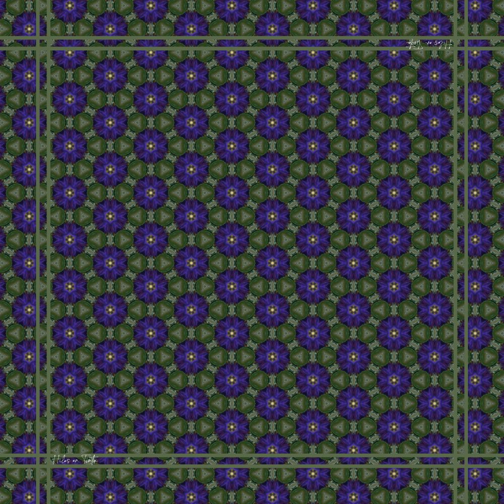 Pañuelo Pétalos y Estrellas Eco-Luxe L